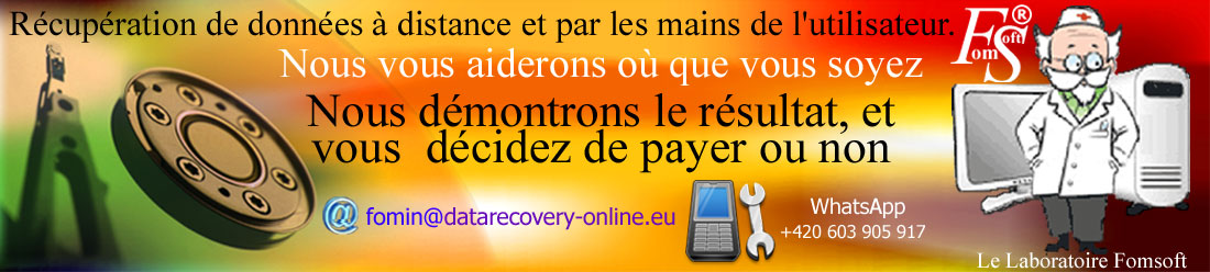 Services de récupération en Ligne de données, de données perdues et de photos sur Internet.