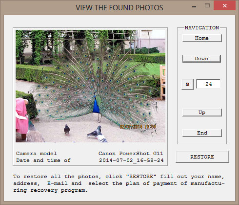 Successful display of the found photo.