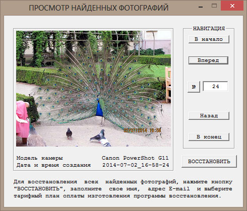 Успешное отображение найденной фотографии.