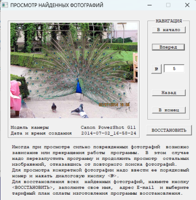Успешное отображение найденной фотографии.