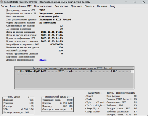 Пример записи FILE Record, описывающей резидентный файл.